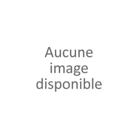 Basket détail doré femme noir (36-41)